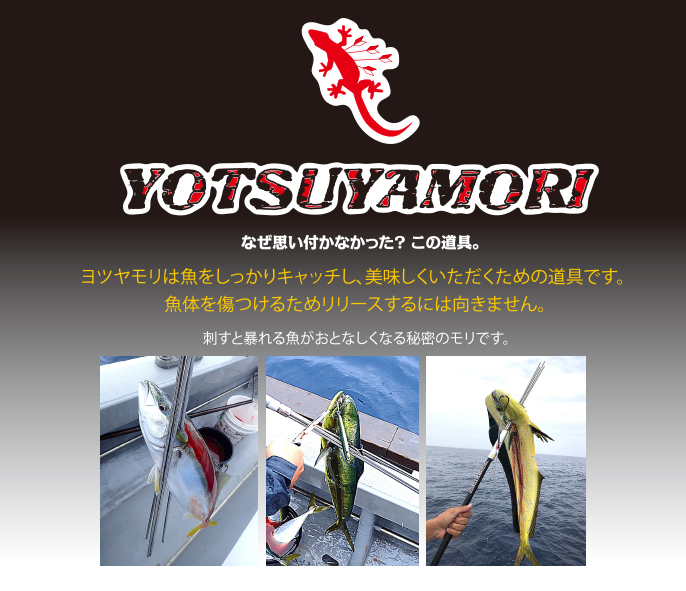 YOTSUYAMORI c