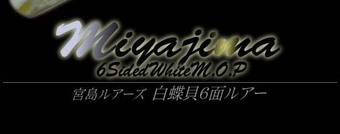 Miyajima �{�����A�[ �����L6�ʃ��A�[