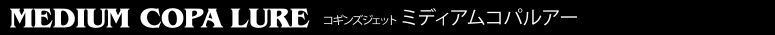 コギンズジェットルアー COGGIN JET