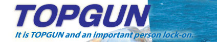 TOPGUN�g�b�v�K�����A�[�ڍׁ@�J�W�L�E�}�O���g���[�����O