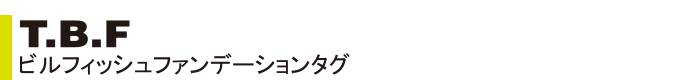 T.B.F ビルフィッシュファンデーション タグ10個入