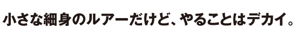 小さな細身のルアーだけど、やることはデカイ。