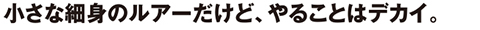 小さな細身のルアーだけど、やることはデカイ。
