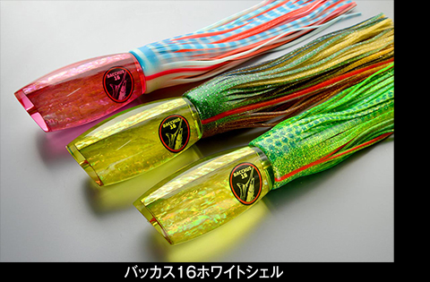 BACCHUS バッカス16ホワイトシェル