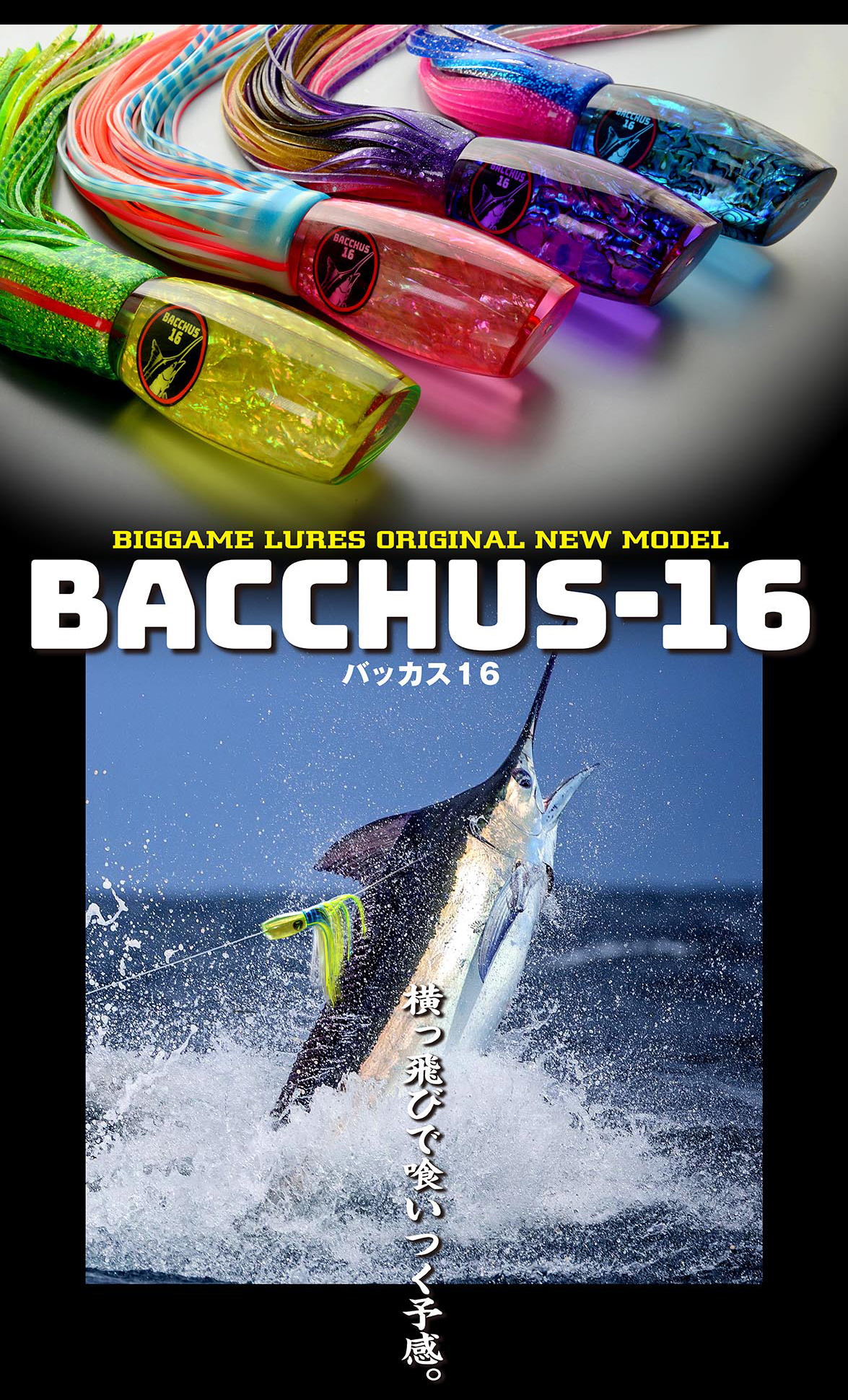 BACCHUS バッカス16