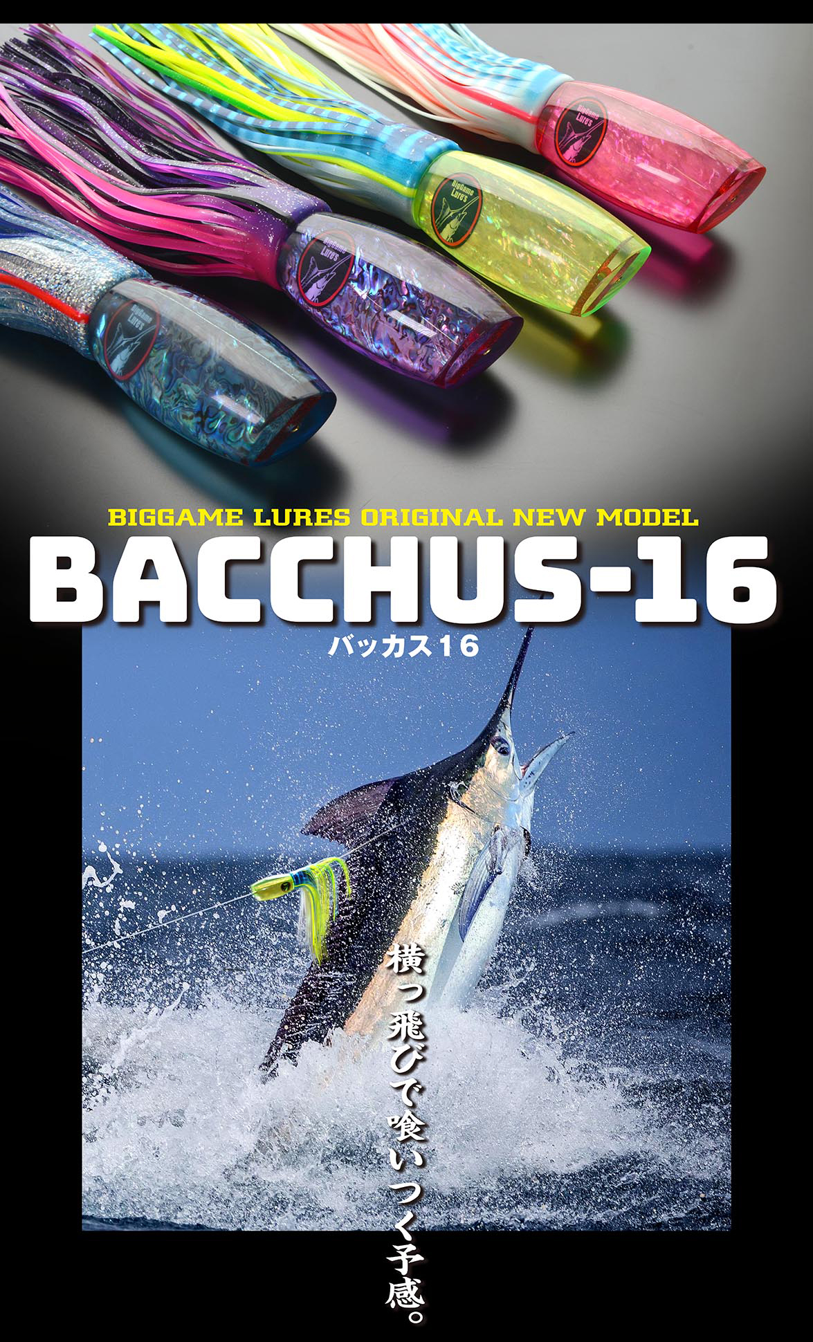 BACCHUS バッカス16