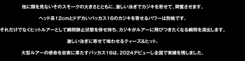 他に類を見ないそのスモークの大きさとともに、激しい泳ぎでカジキを寄せて、興奮させます。ヘッド長12cmとドデカいバッカス16のカジキを寄せるパワーは別格です。それだけでなくヒットルアーとして瞬間静止状態を併せ持ち、カジキがルアーに飛びつきたくなる瞬間を演出します。激しい泳ぎに寄せて喰わせるティーズ＆ヒット。大型ルアーの使命を忠実に果たすバッカス16は、2024デビューし全国で実績を残しました。