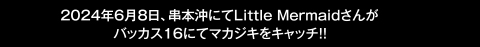 2024年6月8日、串本沖にてLittle Mermaidさんがバッカス16にてマカジキをキャッチ!!