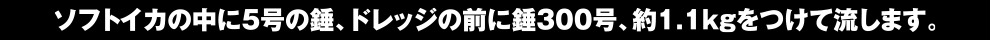 \tgCJ̒5̐AhbW̑Oɐ300A1.1kgė܂B