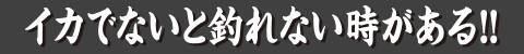 イカでないと釣れない時がある!!