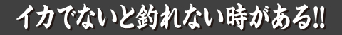 イカでないと釣れない時がある！！