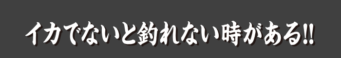 イカでないと釣れない時がある！！