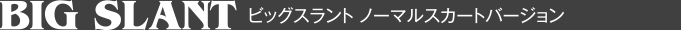 BIG SLANT LONG ビッグスラント ノーマルスカートバージョン