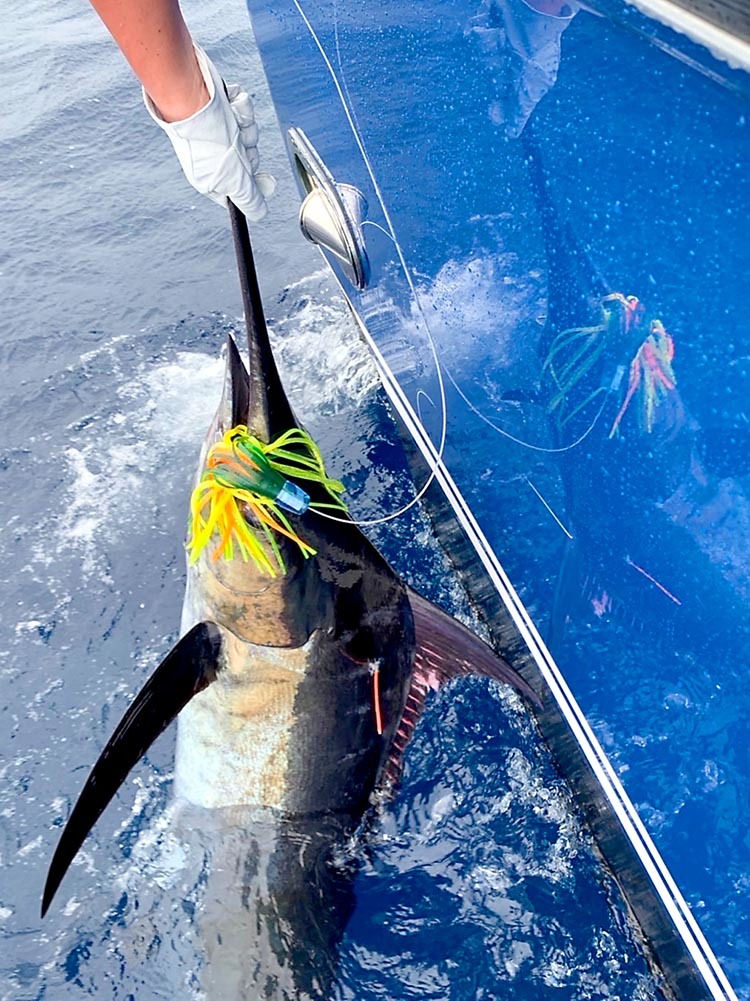 2022 JIBT Win Lure Photo