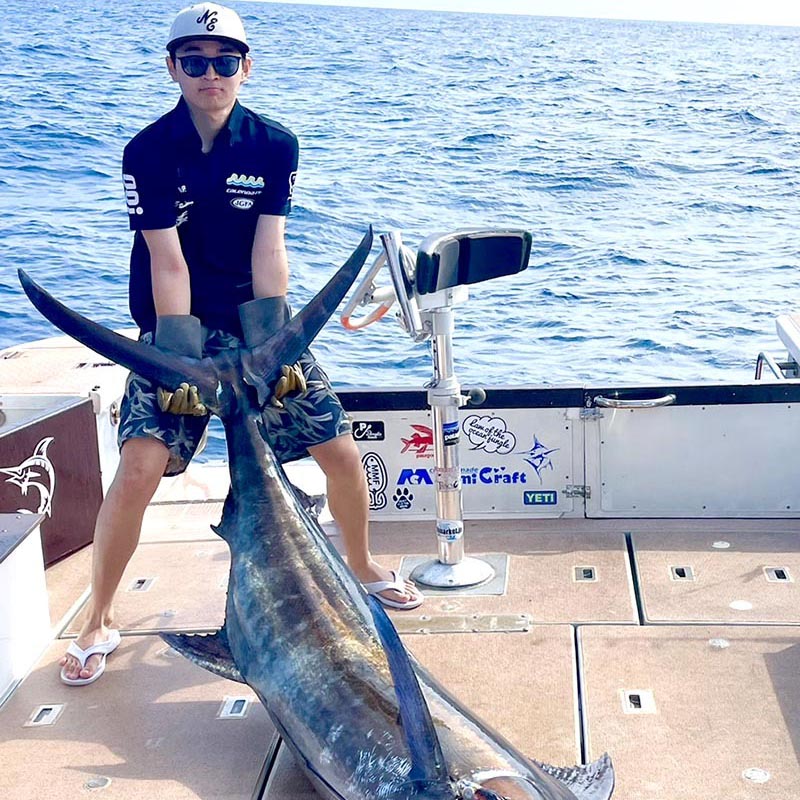 沖縄本島沖にクロカジキが入った