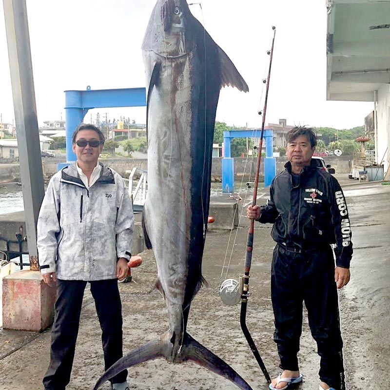 与那国島シロカジキ