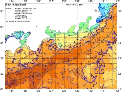 真っ直ぐな黒潮