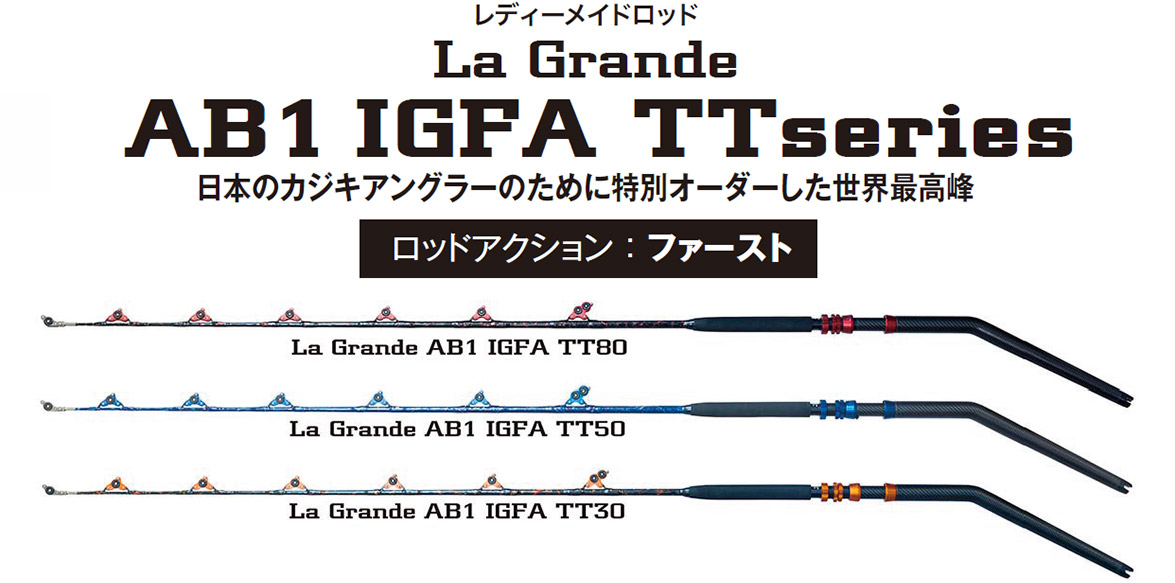 AB1 IGFA TT Series